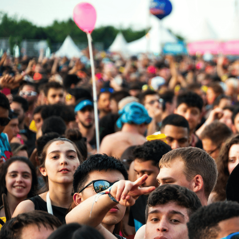 A crowd at a festival